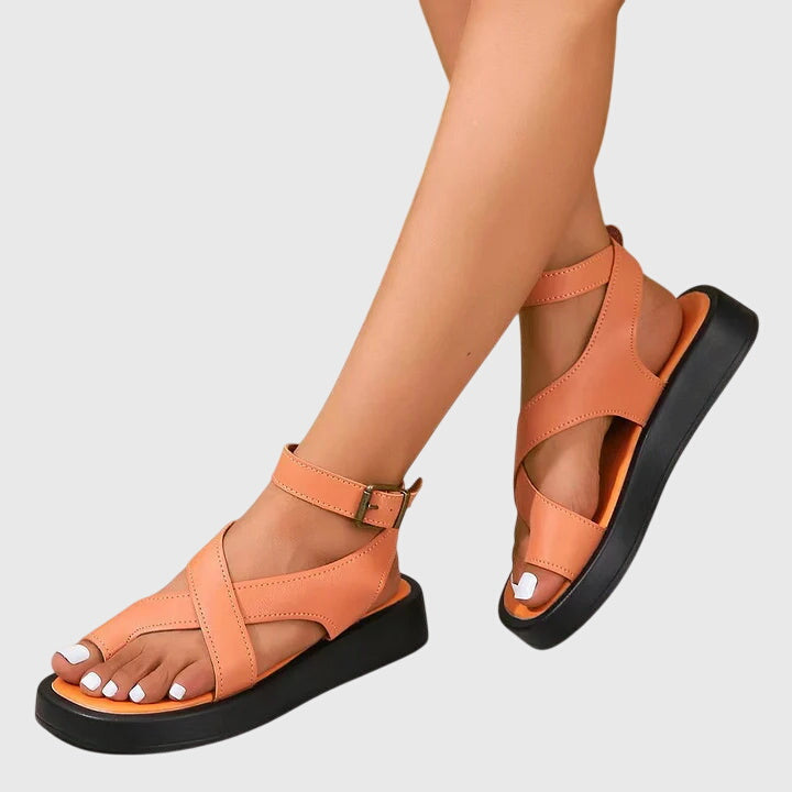 Naranja / 13 US | 43 EU